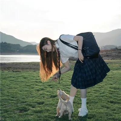 白粉飞 第四季